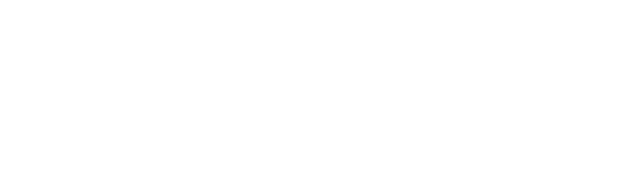 NewHopeNetwork_Horizontal_White